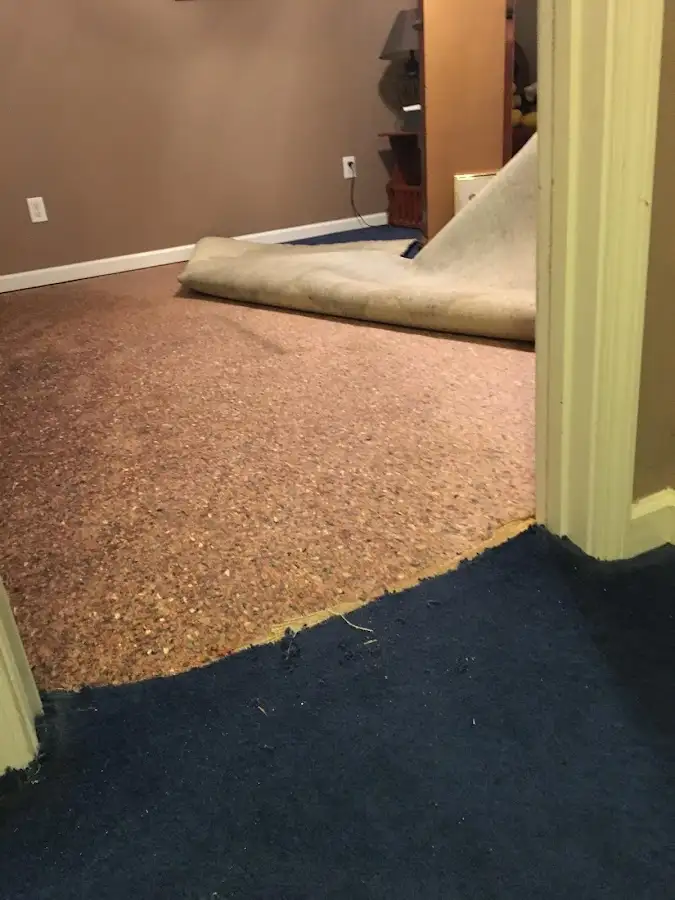 Carpet pad removal revealing water damage during Drying & Dehumidification in Olive