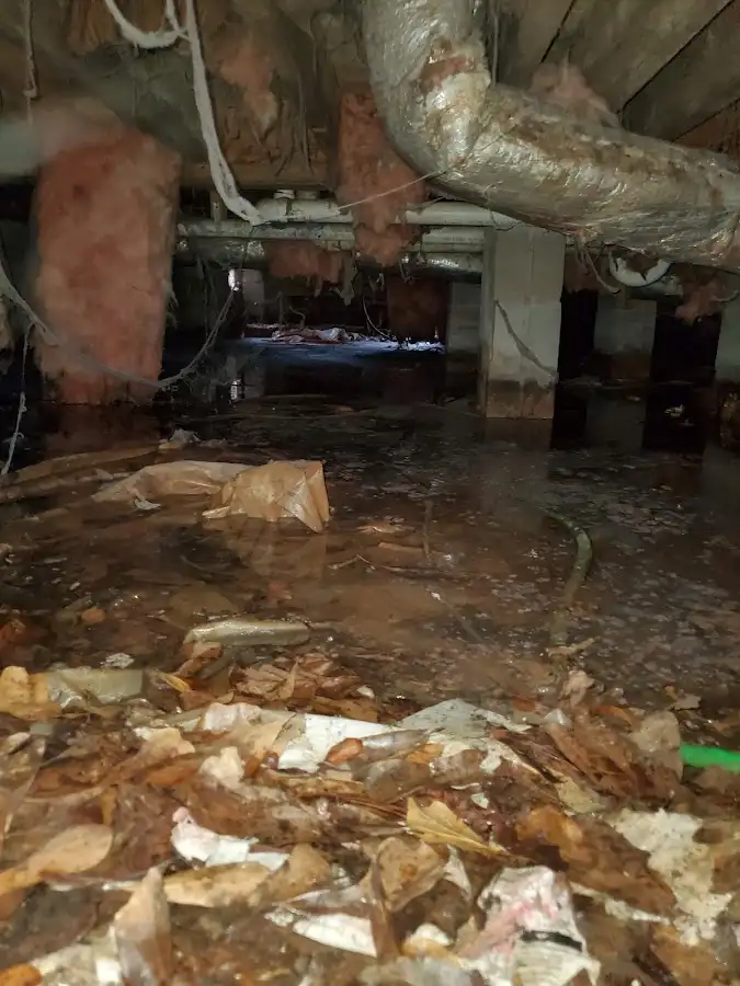 Crawl space flood assessment for Leak Detection & Repair in Olive